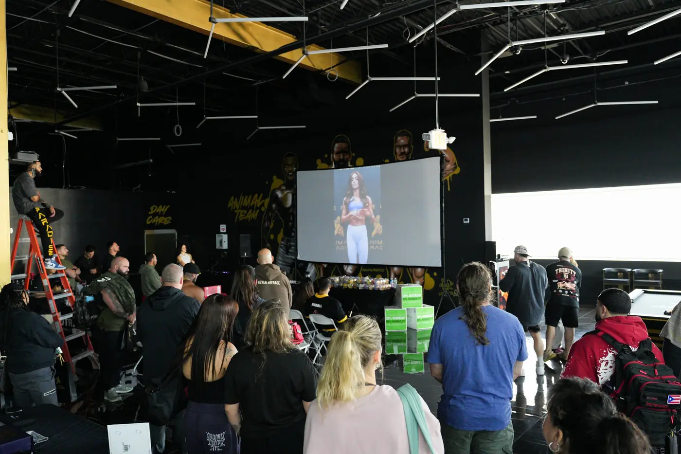 Crowd watching the big screen at Animal Fest 2