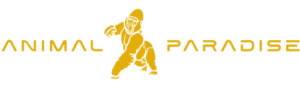 Animal Paradise Gyms