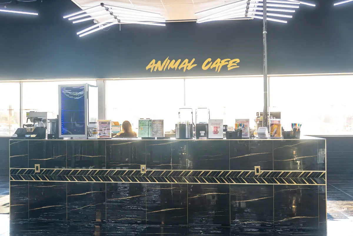 Animal Cafe counter in Vineland NJ