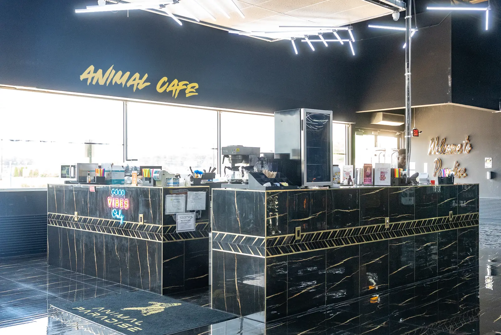 Animal Cafe next to Animal Supps