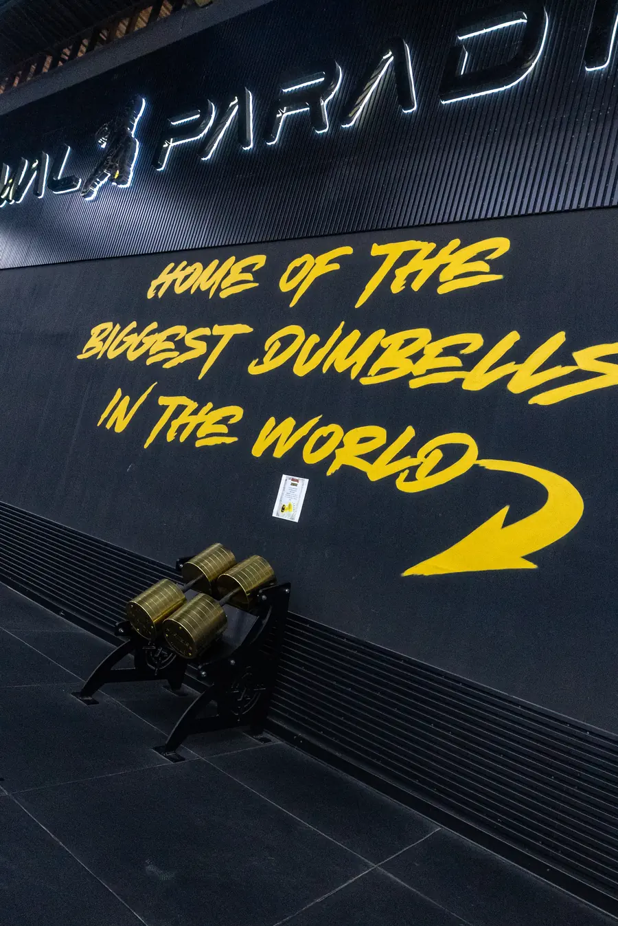 Wall reading Home of the biggest dumbbells in the world at Animal Paradise Gyms