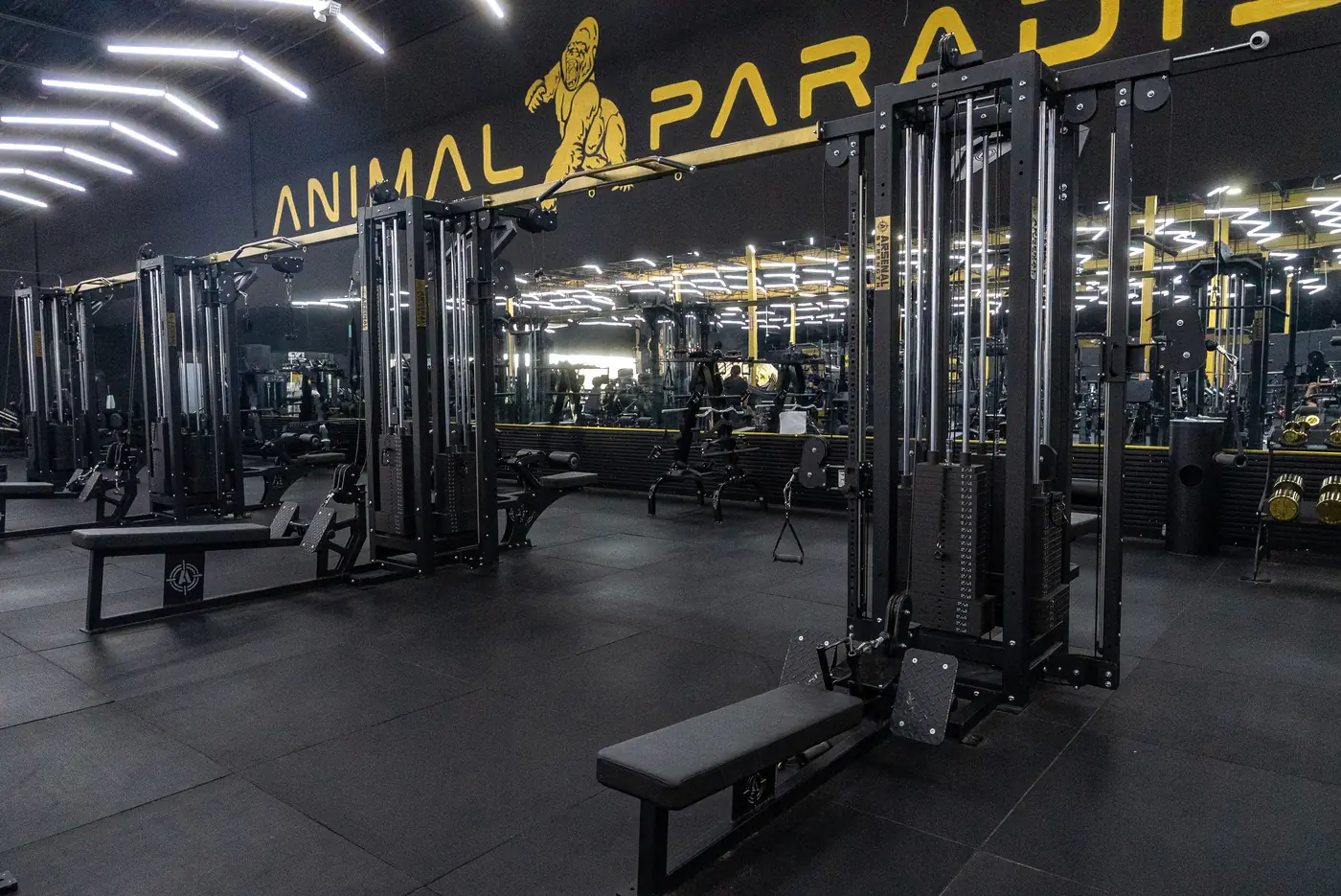 Your First Week at the Gym: A Beginner Plan That Beats Gym Anxiety