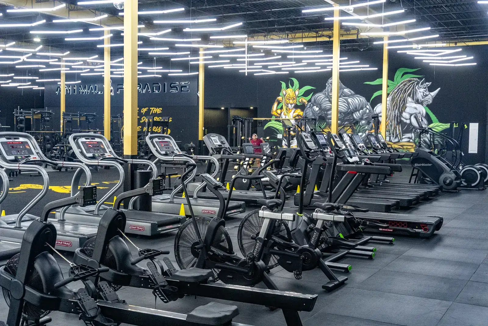 How Much Is a Gym Membership in Vineland, NJ?