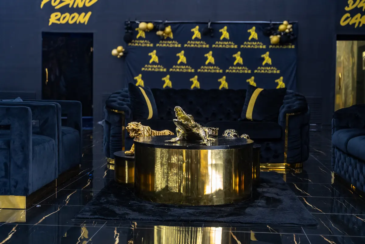 Posing room lounge with gold decor at Animal Paradise