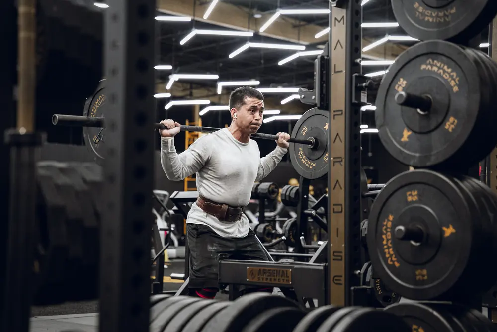 Training at Animal Paradise Gyms, Vineland NJ: squat rack training