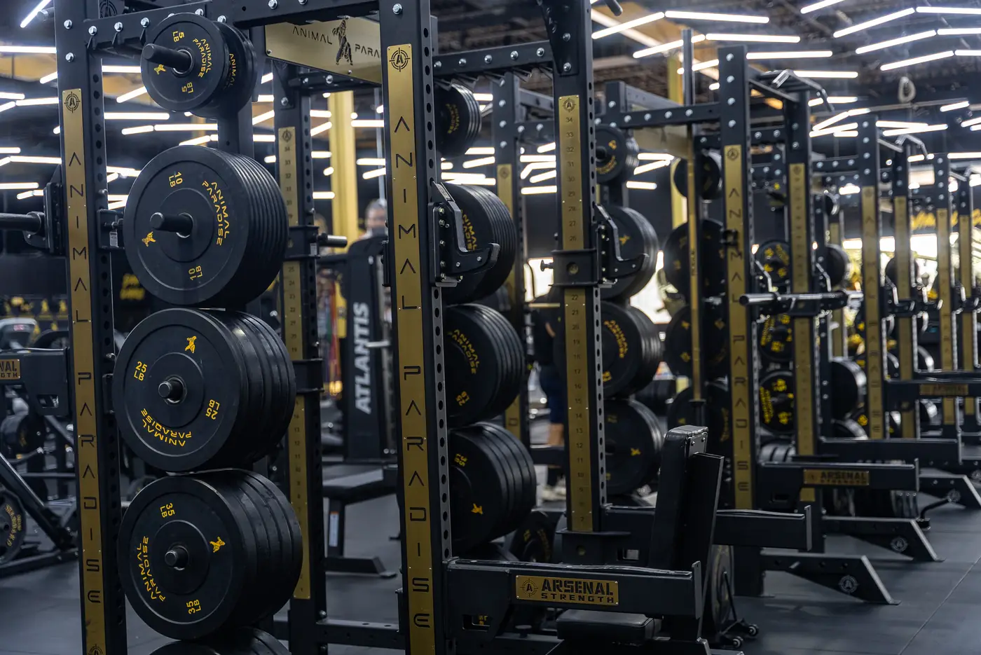 Training on Shift Work: The Late-Night and Early-Morning Gym in Vineland